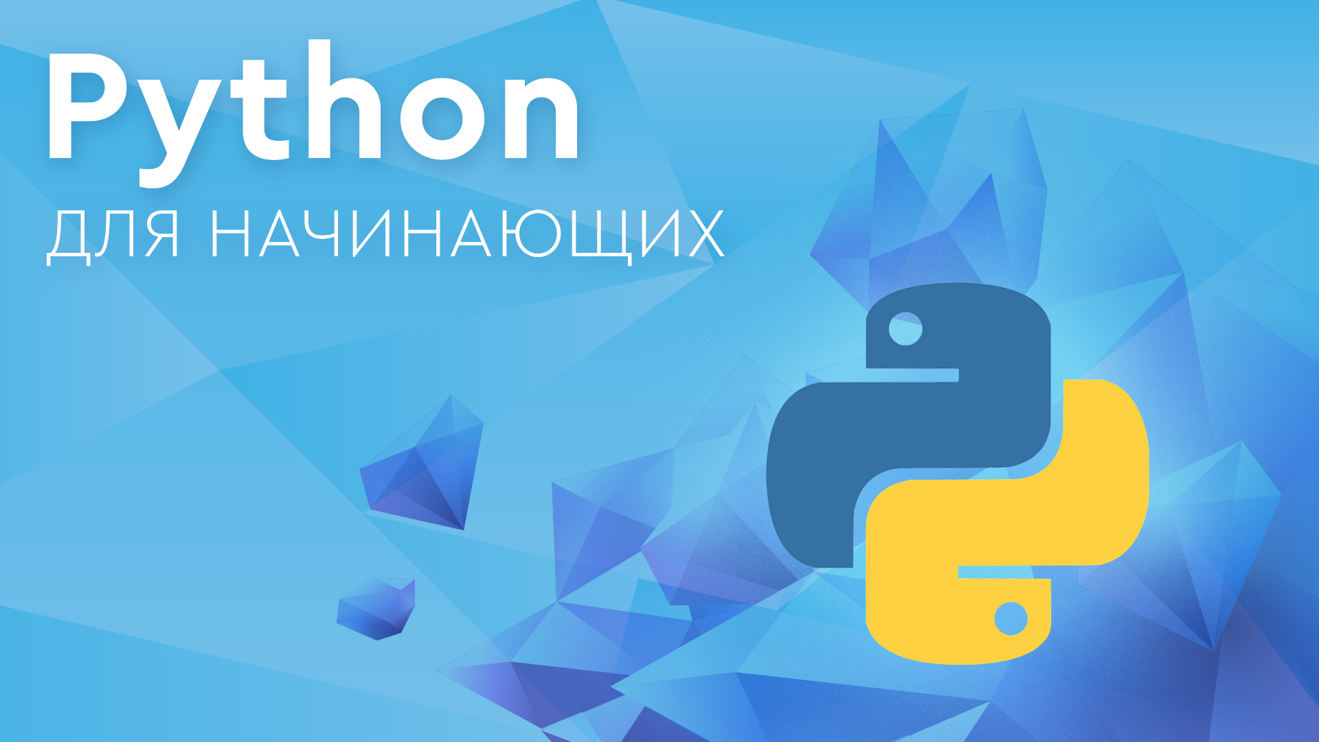 Python для начинающих | CyberBionic Systematics